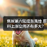 焦炭第六轮提涨落地 原料上涨空间还有多大?(图2) 焦炭第六轮提涨落地 原料上涨空间还有多大?(图2)