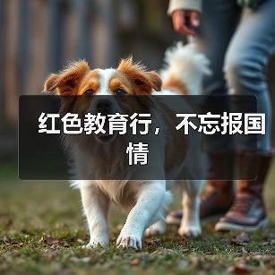 红色教育行，不忘报国情（图4）