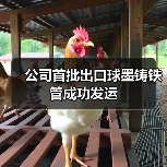 公司首批出口球墨铸铁管成功发运(图2) 公司首批出口球墨铸铁管成功发运(图2)