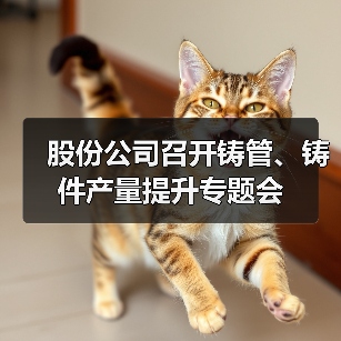 股份公司召开铸管、铸件产量提升专题会