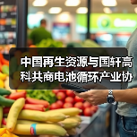 中国再生资源与国轩高科共商电池循环产业协同发展(图4) 中国再生资源与国轩高科共商电池循环产业协同发展(图4)