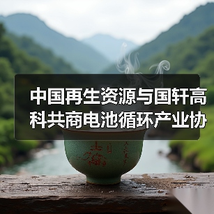 中国再生资源与国轩高科共商电池循环产业协同发展