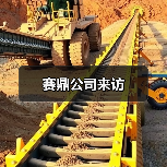 赛鼎公司来访(图1) 赛鼎公司来访(图1)