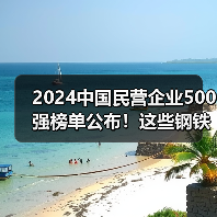2024中国民营企业500强榜单公布!这些钢铁相关企业上榜(图4) 2024中国民营企业500强榜单公布!这些钢铁相关企业上榜(图4)