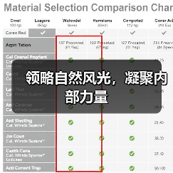 领略自然风光,凝聚内部力量(图1) 领略自然风光,凝聚内部力量(图1)