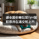 德业股份筹划发行H股股票并在港交所上市