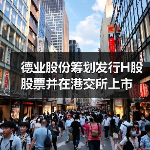 德业股份筹划发行H股股票并在港交所上市（图2）