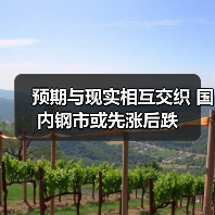 预期与现实相互交织 国内钢市或先涨后跌（图2）