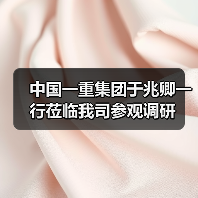 中国一重集团于兆卿一行莅临我司参观调研（图4）