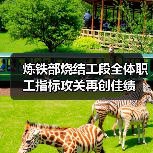 炼铁部烧结工段全体职工指标攻关再创佳绩（图3）