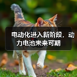 电动化进入新阶段,动力电池未来可期(图4) 电动化进入新阶段,动力电池未来可期(图4)