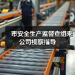 市安全生产监督查组来公司视察指导