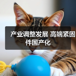 产业调整发展 高端紧固件国产化(图2) 产业调整发展 高端紧固件国产化(图2)