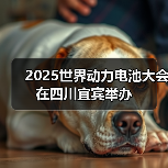 2025世界动力电池大会在四川宜宾举办(图2) 2025世界动力电池大会在四川宜宾举办(图2)