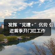 发挥“党建+”优势 促进首季开门红工作(图2) 发挥“党建+”优势 促进首季开门红工作(图2)
