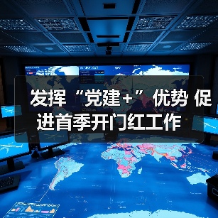 发挥“党建+”优势 促进首季开门红工作(图4) 发挥“党建+”优势 促进首季开门红工作(图4)