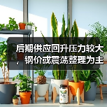 后期供应回升压力较大，钢价或震荡整理为主（图4）