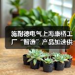 施耐德电气上海康桥工厂“智造”产品加速供应全球市场