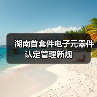 湖南首套件电子元器件认定管理新规（图4）