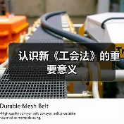 认识新《工会法》的重要意义（图2）