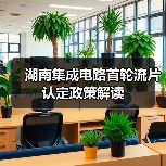 湖南集成电路首轮流片认定政策解读（图2）