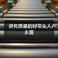 讲究质量的好带头人卢永震（图1）