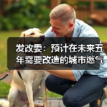 发改委:预计在未来五年需要改造的城市燃气、供排水、供热等各类管网总量将近60万公里,投资总需求约4万亿(图2) 发改委:预计在未来五年需要改造的城市燃气、供排水、供热等各类管网总量将近60万公里,投资总需求约4万亿(图2)