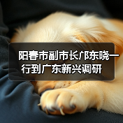 阳春市副市长邝东晓一行到广东新兴调研（图2）