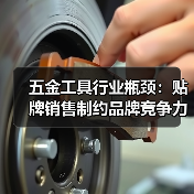 五金工具行业瓶颈：贴牌销售制约品牌竞争力（图4）
