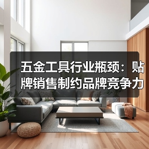 五金工具行业瓶颈：贴牌销售制约品牌竞争力（图3）