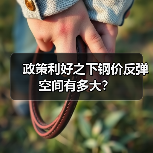 政策利好之下钢价反弹空间有多大?(图4) 政策利好之下钢价反弹空间有多大?(图4)