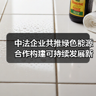 中法企业共推绿色能源合作构建可持续发展新路径
