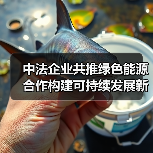 中法企业共推绿色能源合作构建可持续发展新路径(图2) 中法企业共推绿色能源合作构建可持续发展新路径(图2)