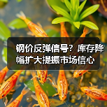 钢价反弹信号?库存降幅扩大提振市场信心(图2) 钢价反弹信号?库存降幅扩大提振市场信心(图2)