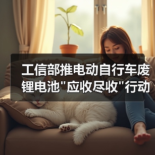工信部推电动自行车废锂电池