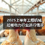 2025上半年工程机械、船舶电力行业运行情况深度解析(图2) 2025上半年工程机械、船舶电力行业运行情况深度解析(图2)