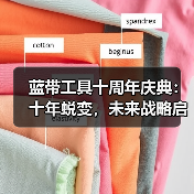 蓝带工具十周年庆典：十年蜕变，未来战略启航（图3）