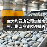 意大利赛班公司实地考察，供应商资质评估关键？