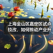 上海金山区嘉定区试点技改,如何推动产业升级?(图2) 上海金山区嘉定区试点技改,如何推动产业升级?(图2)