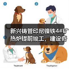 新兴铸管印尼镍铁4#矿热炉提前竣工，建设奇迹背后的高效秘诀（图1）