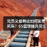 党员义务劳动如何彰显风采？6S管理提升见实效
