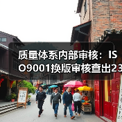 质量体系内部审核:ISO9001换版审核查出23项问题(图2) 质量体系内部审核:ISO9001换版审核查出23项问题(图2)
