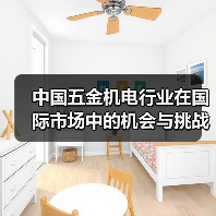 中国五金机电行业在国际市场中的机会与挑战(图2) 中国五金机电行业在国际市场中的机会与挑战(图2)