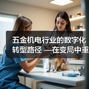 五金机电行业的数字化转型路径 —在变局中重构增长新逻辑
