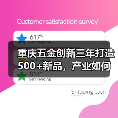 重庆五金创新三年打造500+新品,产业如何实现跨越式发展?(图3) 重庆五金创新三年打造500+新品,产业如何实现跨越式发展?(图3)
