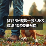 储能BMS第一股8.5亿募资即将登陆A股！（图2）