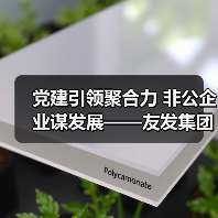 党建引领聚合力 非公企业谋发展——友发集团党委荣获先进基层党组织称号