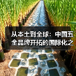 从本土到全球:中国五金品牌开拓的国际化之路(图4) 从本土到全球:中国五金品牌开拓的国际化之路(图4)
