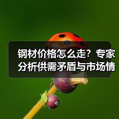 钢材价格怎么走?专家分析供需矛盾与市场情绪(图4) 钢材价格怎么走?专家分析供需矛盾与市场情绪(图4)