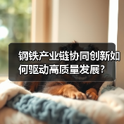 钢铁产业链协同创新如何驱动高质量发展?(图1) 钢铁产业链协同创新如何驱动高质量发展?(图1)